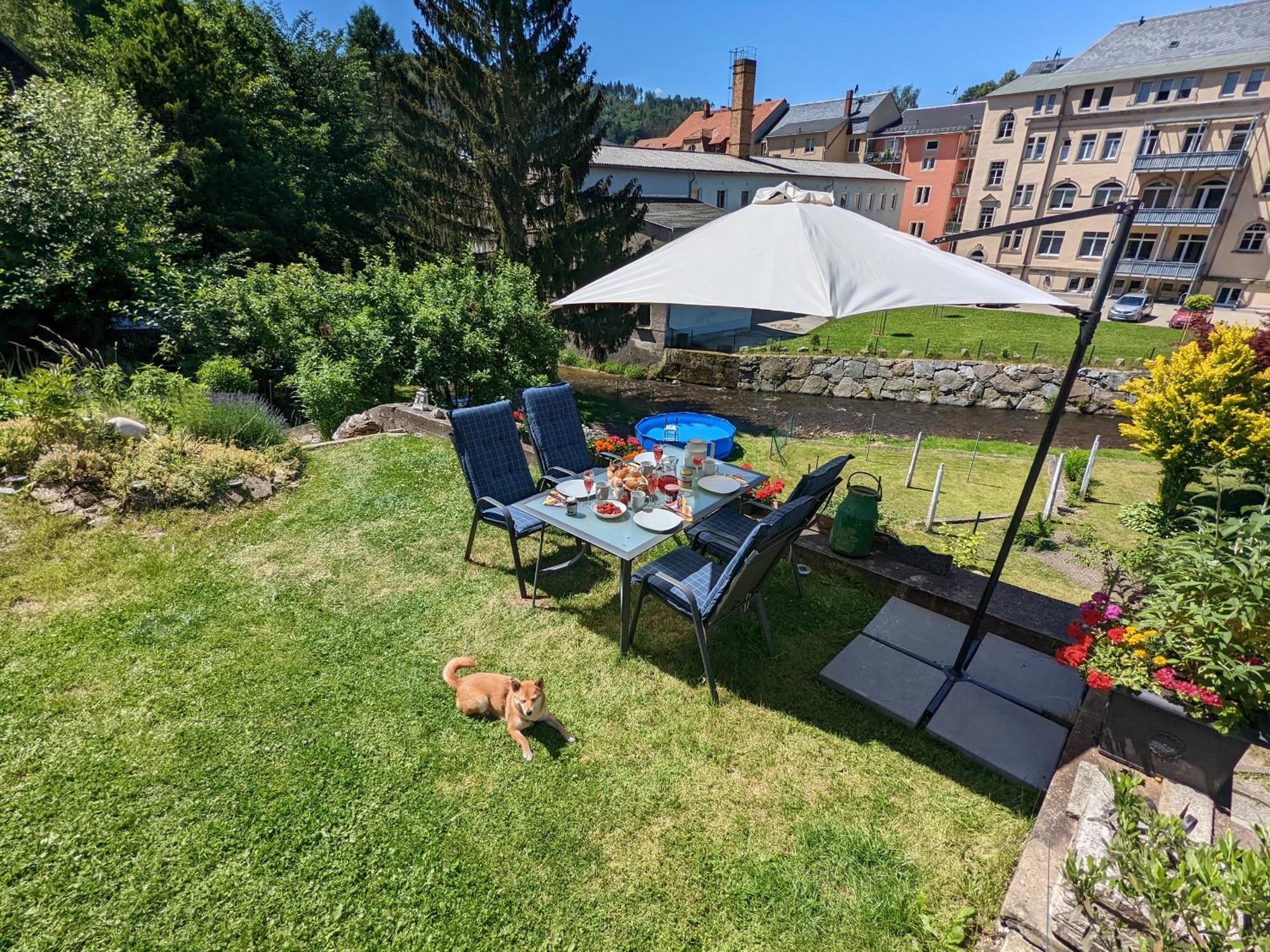 Uo - Urlaubsmagie - Helle Wohnung,Sauna,Whirlpool Sebnitz Dış mekan fotoğraf