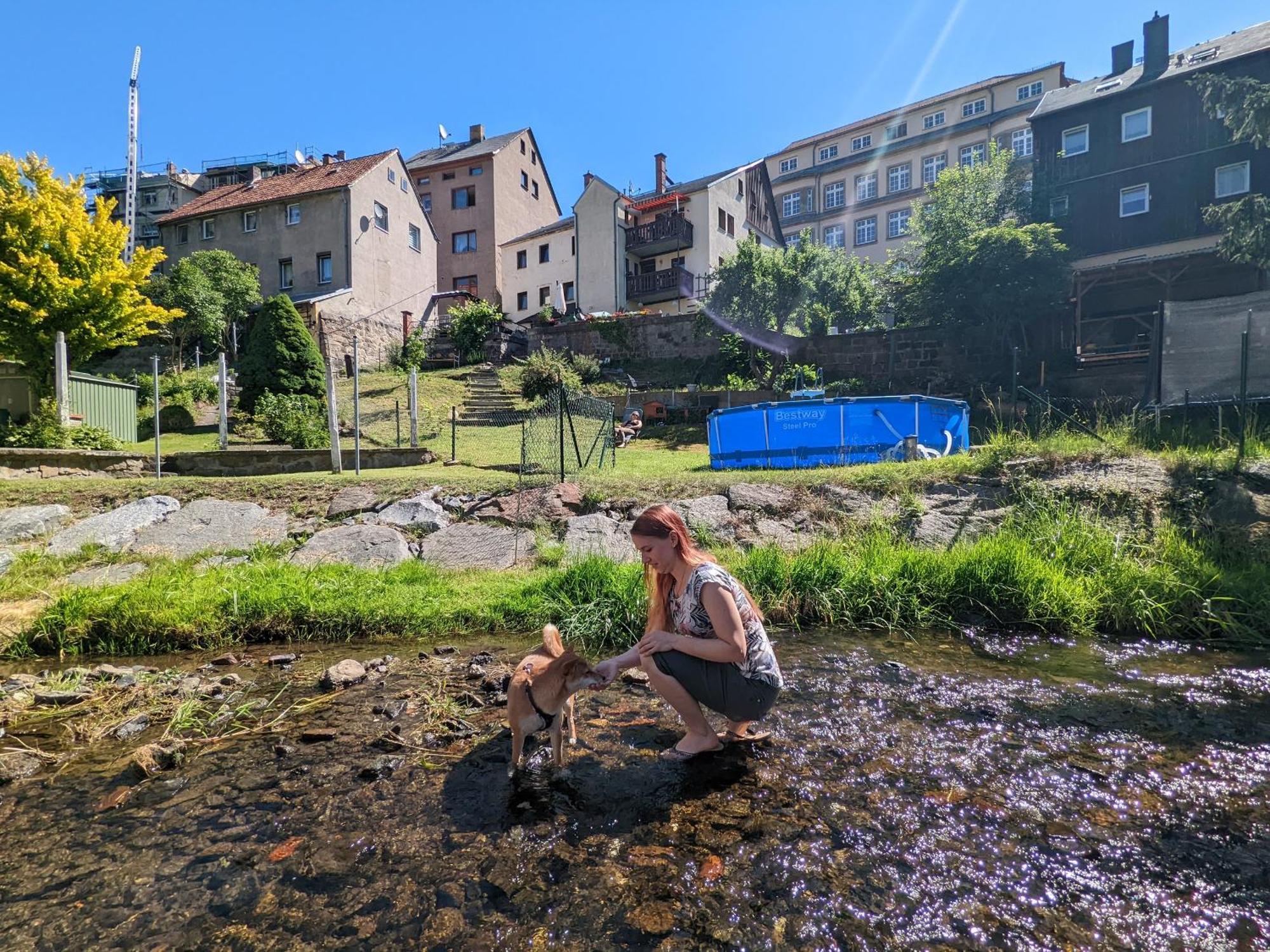 Uo - Urlaubsmagie - Helle Wohnung,Sauna,Whirlpool Sebnitz Dış mekan fotoğraf