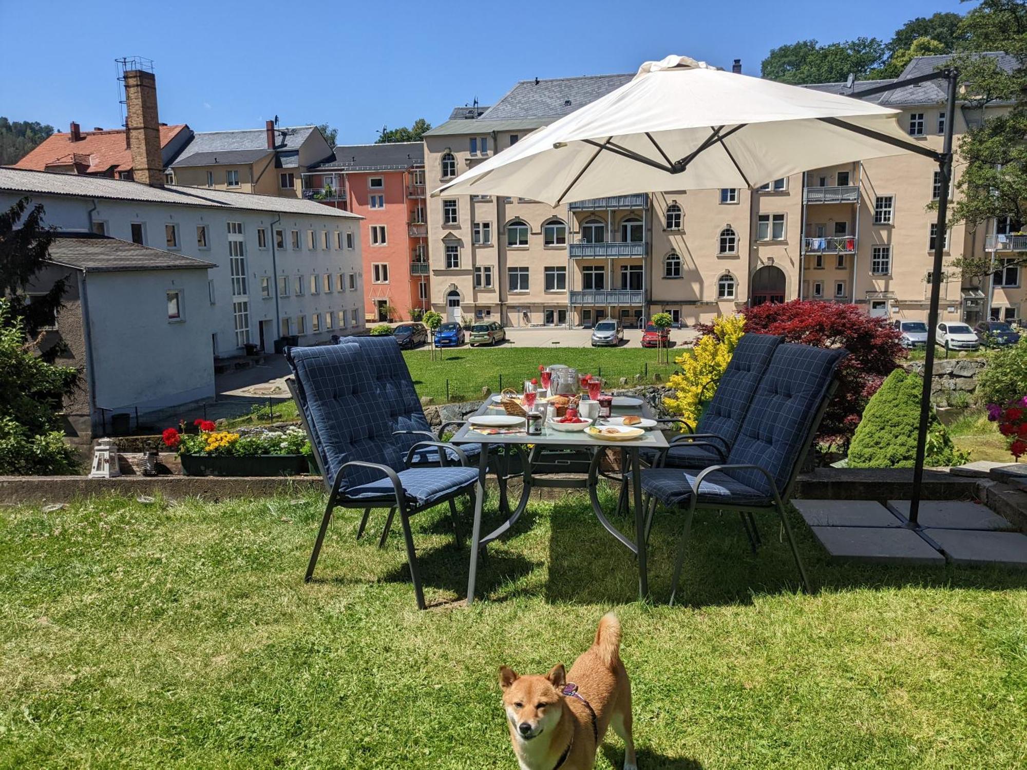 Uo - Urlaubsmagie - Helle Wohnung,Sauna,Whirlpool Sebnitz Dış mekan fotoğraf