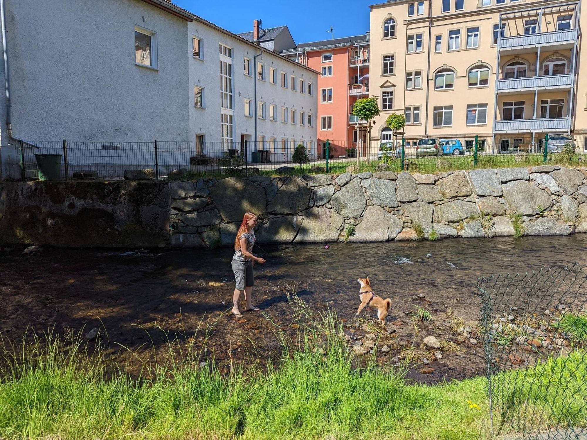 Uo - Urlaubsmagie - Helle Wohnung,Sauna,Whirlpool Sebnitz Dış mekan fotoğraf